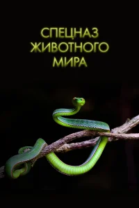 Спецназ животного мира